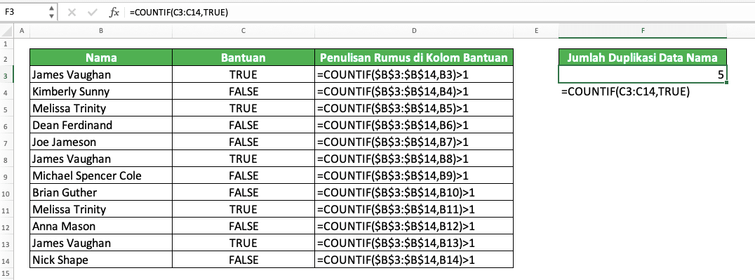 Fungsi/Rumus COUNTIF Excel: Kegunaan, Contoh, dan Cara Menggunakan - Screenshot Contoh COUNTIF Untuk Menghitung Data Duplikasi di Excel
