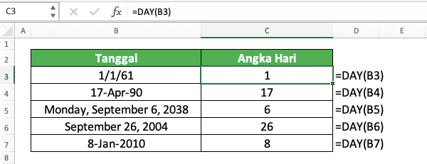 Cara Menggunakan Rumus DAY Excel: Fungsi, Contoh, dan Langkah Penulisan - Screenshot Contoh Implementasi DAY