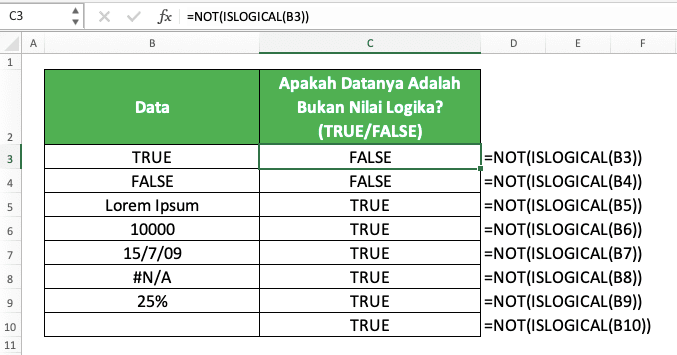 Cara Menggunakan Rumus ISLOGICAL Excel: Fungsi, Contoh, dan Langkah Penulisan - Screenshot Contoh Implementasi NOT ISLOGICAL