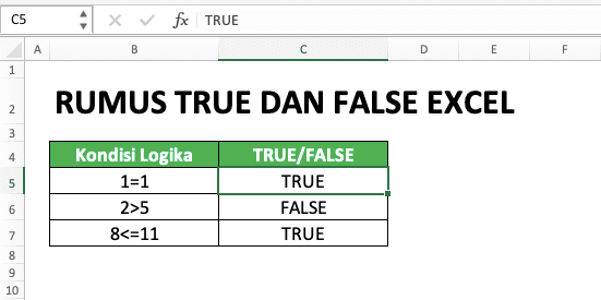 Cara Menggunakan Rumus TRUE dan FALSE Excel: Fungsi, Contoh, dan Penulisan - Screenshot Penulisan Langsung Nilai Logika TRUE di Excel