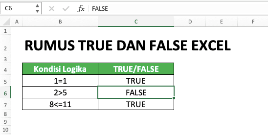 Cara Menggunakan Rumus TRUE dan FALSE Excel: Fungsi, Contoh, dan Penulisan - Screenshot Penulisan Langsung Nilai Logika FALSE di Excel