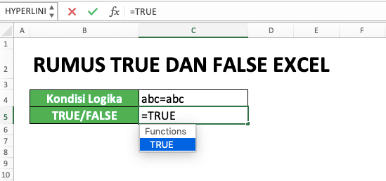 Cara Menggunakan Rumus TRUE dan FALSE Excel: Fungsi, Contoh, dan Penulisan - Screenshot Langkah 1-2