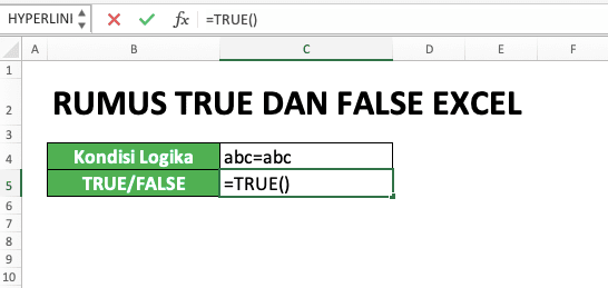 Cara Menggunakan Rumus TRUE dan FALSE Excel: Fungsi, Contoh, dan Penulisan - Screenshot Langkah 1-3