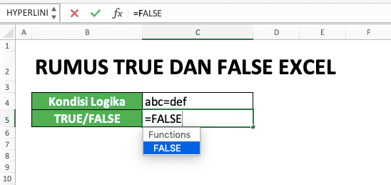 Cara Menggunakan Rumus TRUE dan FALSE Excel: Fungsi, Contoh, dan Penulisan - Screenshot Langkah 2-2