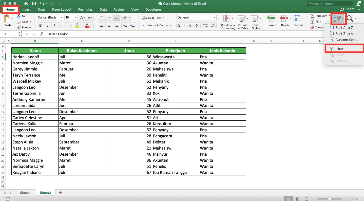 Cara Mencari Nama di Excel - Screenshot Lokasi Tombol Filter di Excel