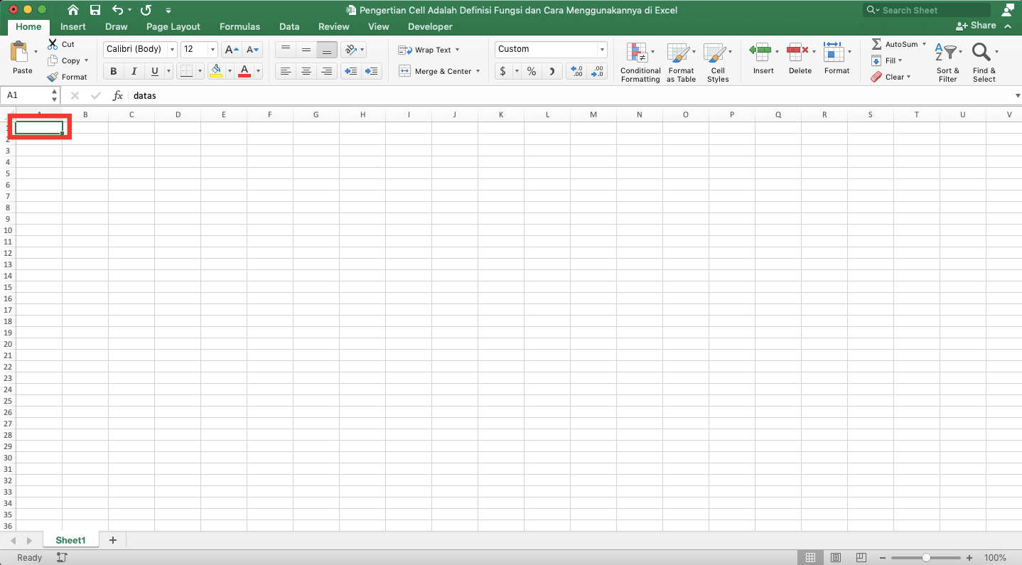 Pengertian Cell Adalah; Definisi, Fungsi, dan Cara Menggunakannya di Excel - Screenshot Contoh Hasil Menyembunyikan Isi Cell di Excel
