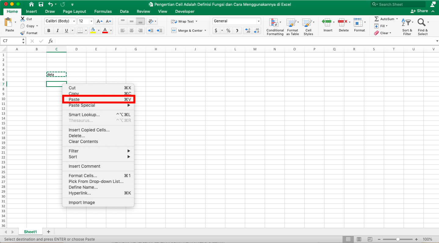Pengertian Cell Adalah; Definisi, Fungsi, dan Cara Menggunakannya di Excel - Screenshot Lokasi Pilihan Paste di Menu Klik Kanan Cell Excel