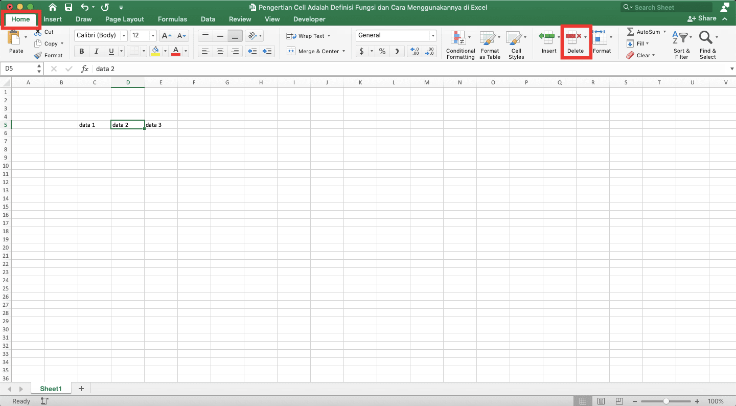 Pengertian Cell Adalah; Definisi, Fungsi, dan Cara Menggunakannya di Excel - Screenshot Lokasi Tombol Delete di Tab Home di Excel