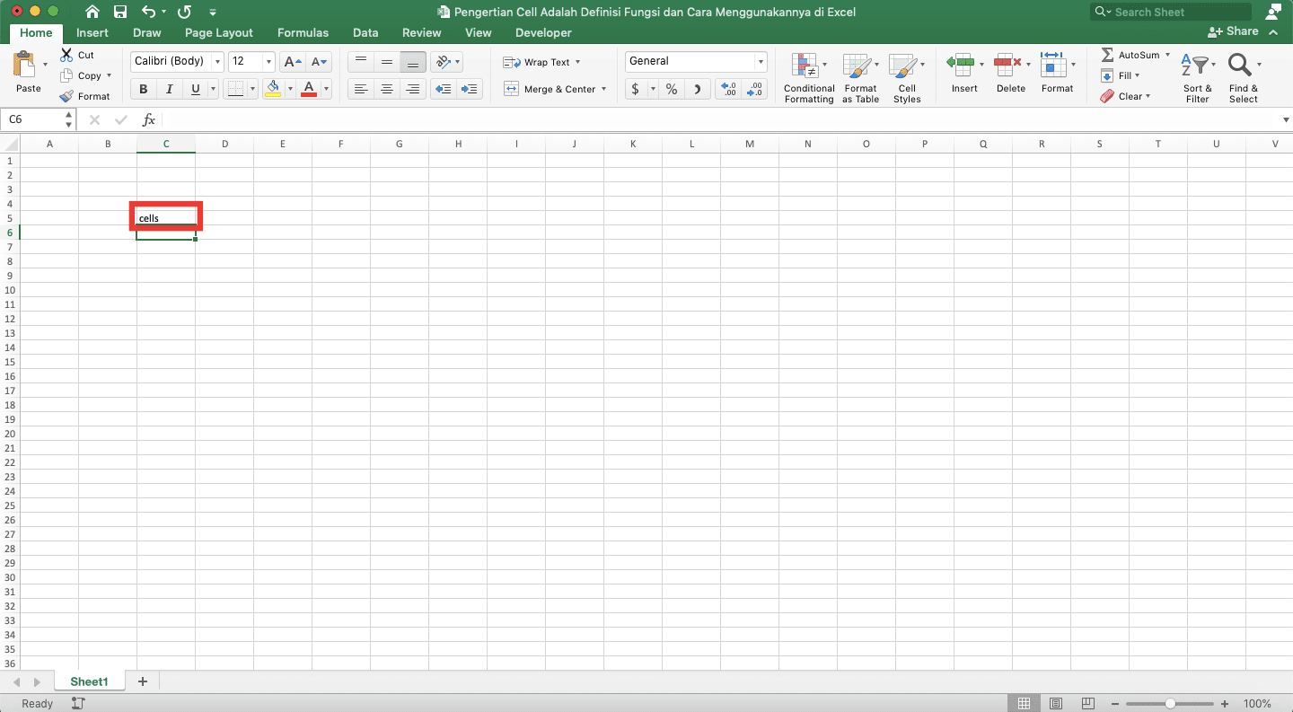 Pengertian Cell Adalah; Definisi, Fungsi, dan Cara Menggunakannya di Excel - Screenshot Contoh Hasil Input Data Pada Cell di Excel