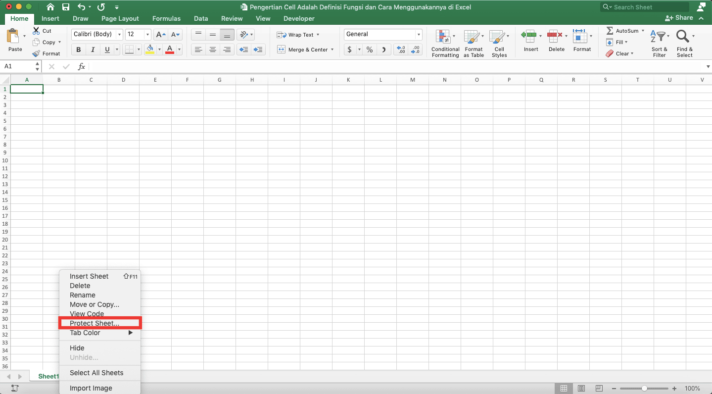 Pengertian Cell Adalah; Definisi, Fungsi, dan Cara Menggunakannya di Excel - Screenshot Lokasi Protect Sheet... di Menu Klik Kanan Sheet Excel
