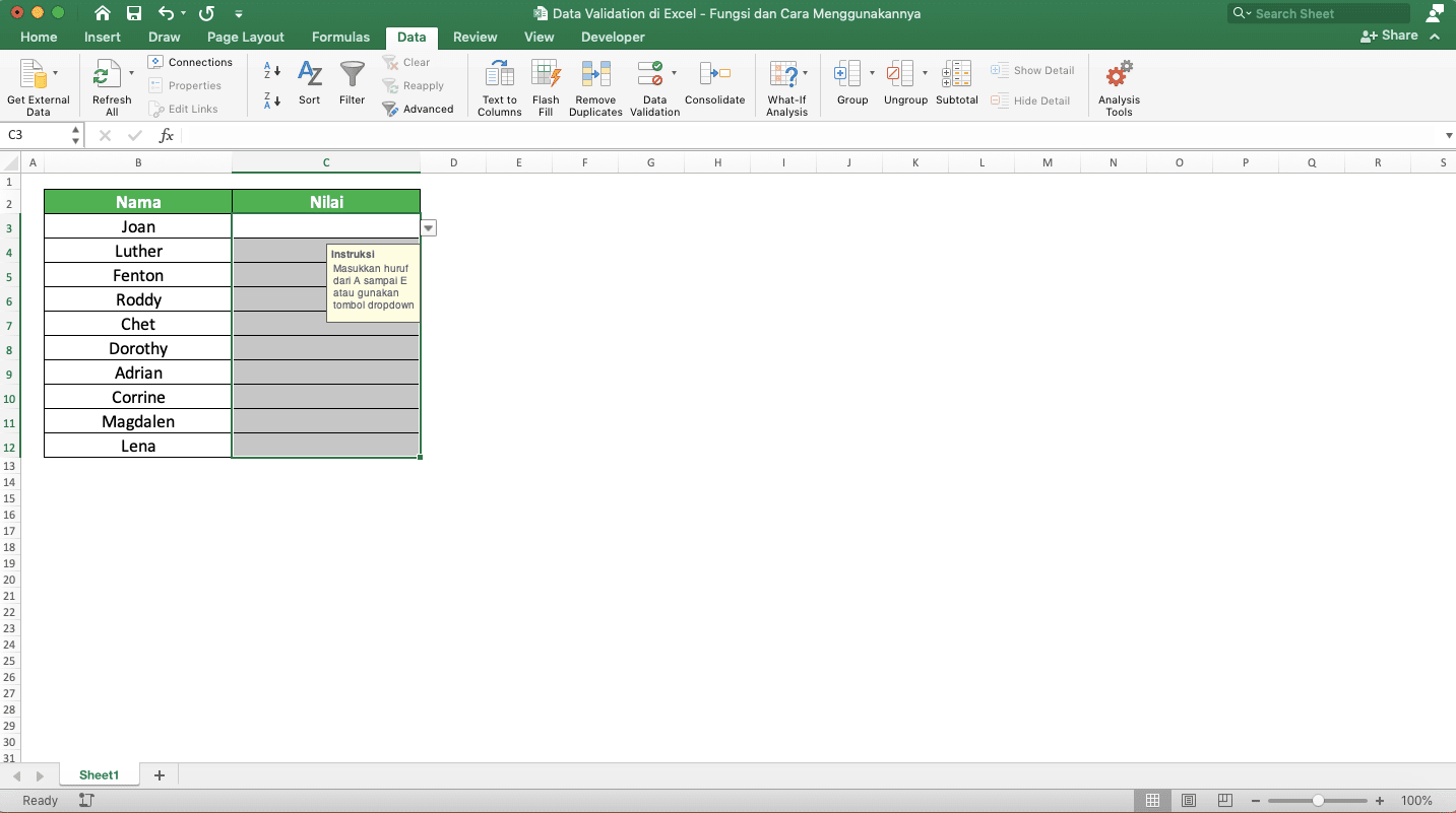 Data Validation di Excel: Fungsi dan Cara Menggunakannya - Screenshot Langkah Membuat Data Validation 7