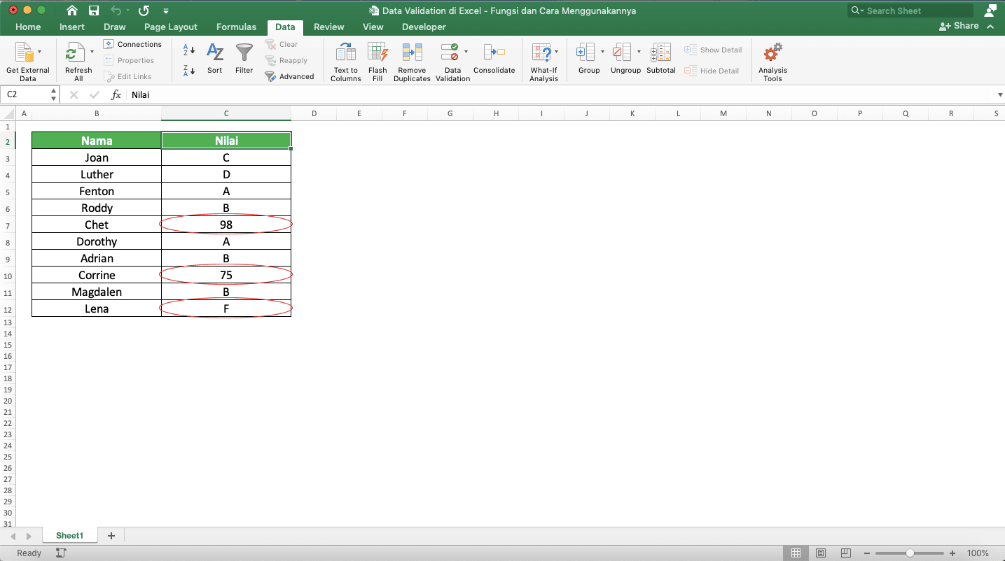 Data Validation di Excel: Fungsi dan Cara Menggunakannya - Screenshot Contoh Hasil Melingkari Cell-Cell dengan Isi yang Tidak Sesuai dengan Aturan Data Validationnya