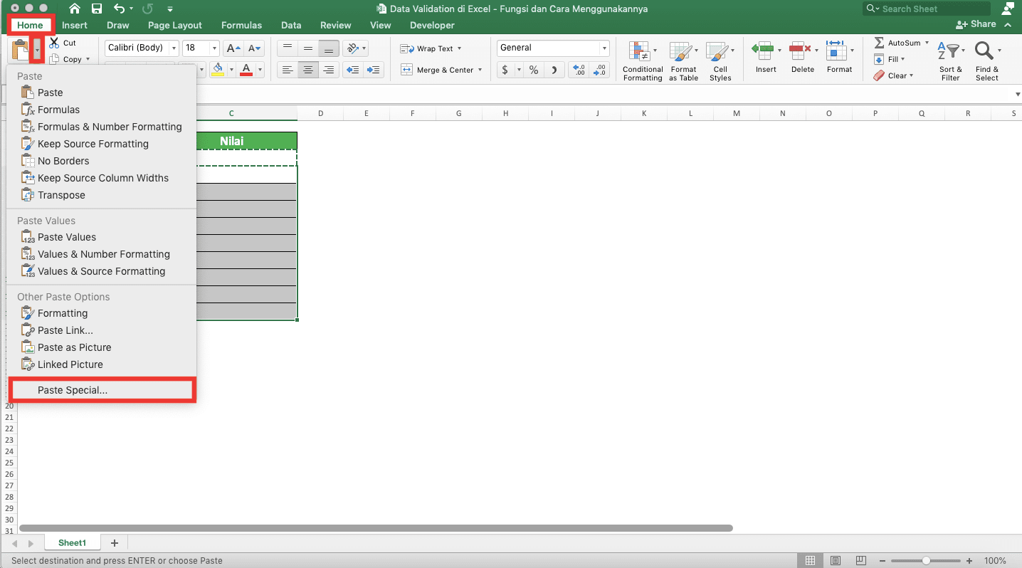 Data Validation di Excel: Fungsi dan Cara Menggunakannya - Screenshot Langkah Menyalin Data Validation 4