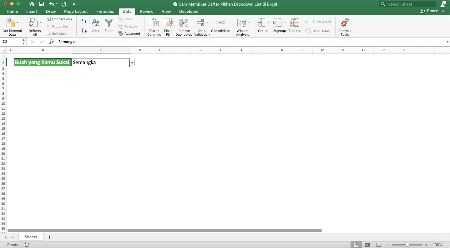 Cara Membuat Daftar Pilihan/Dropdown List di Excel - Screenshot Langkah 7-3