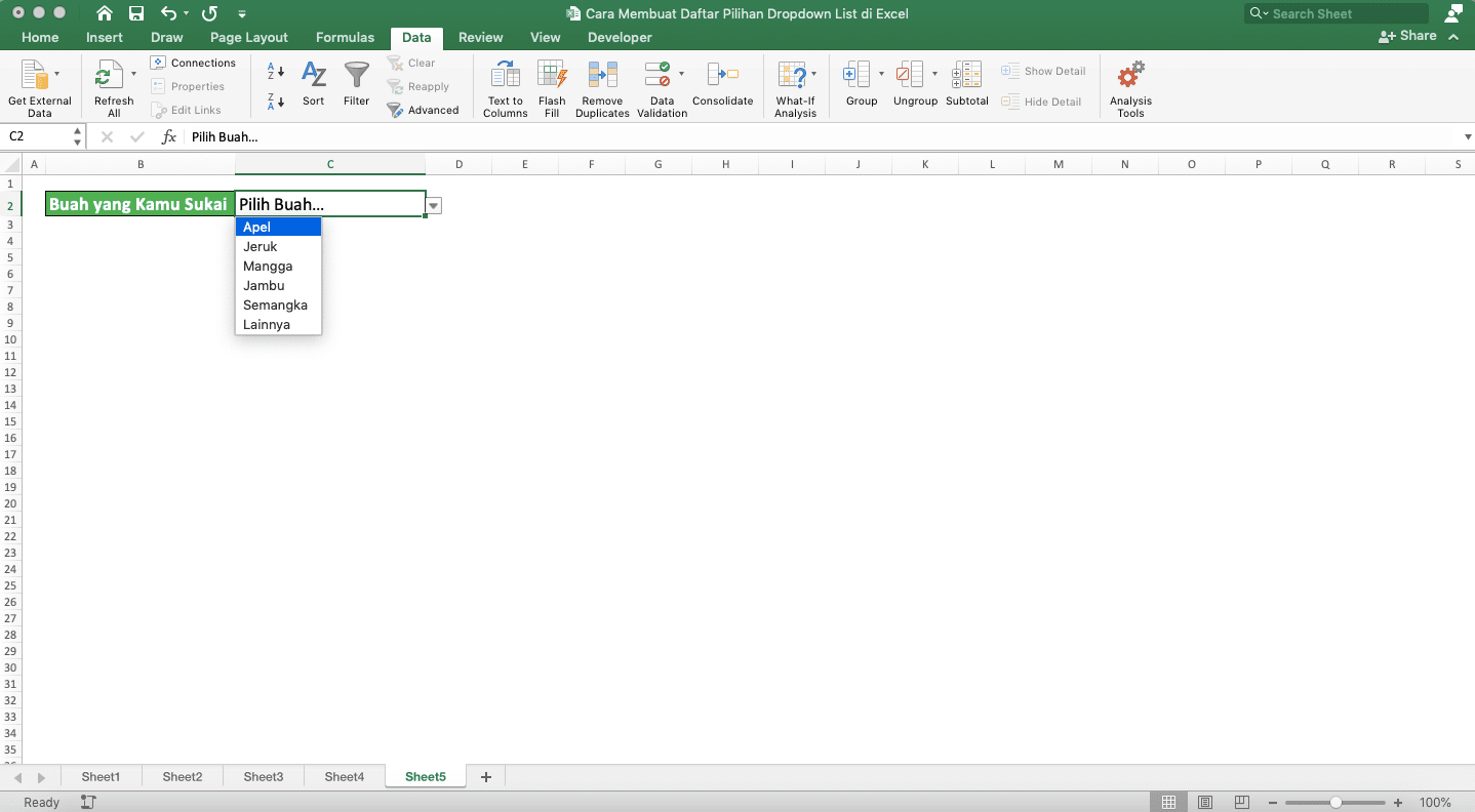 Cara Membuat Daftar Pilihan/Dropdown List di Excel - Screenshot Cara Membuat Dropdown List dengan Nilai Default, Langkah 6