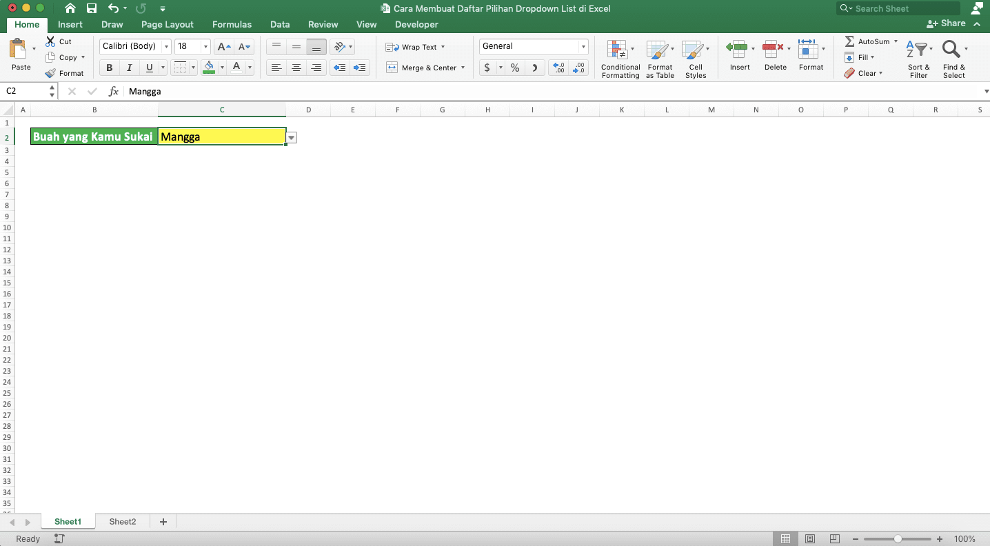 Cara Membuat Daftar Pilihan/Dropdown List di Excel - Screenshot Contoh Dropdown List dengan Warna 2