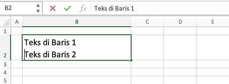 Cara Enter Tulisan di Excel - Screenshot Contoh Hasil Cara Enter di Excel dengan Alt + Enter