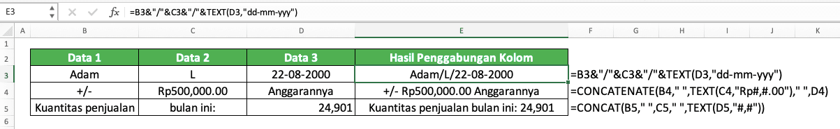 Cara Menggabungkan Kolom di Excel - Screenshot Contoh Implementasi Penggabungan Kolom dengan Angka dengan Menggunakan TEXT