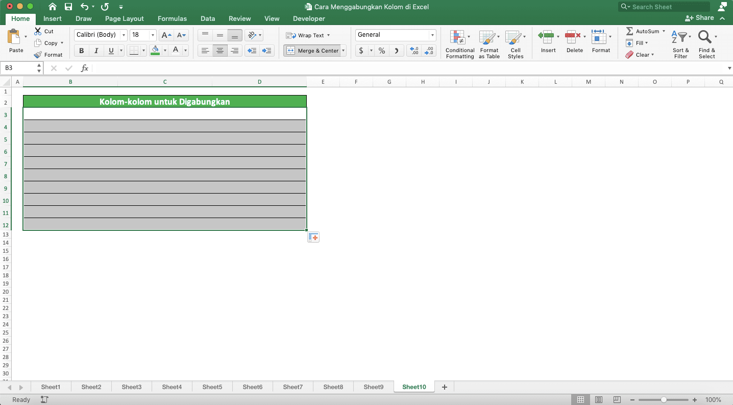 Cara Menggabungkan Kolom di Excel - Screenshot Contoh Hasil Implementasi Cara Penggabungan Cell di Beberapa Kolom