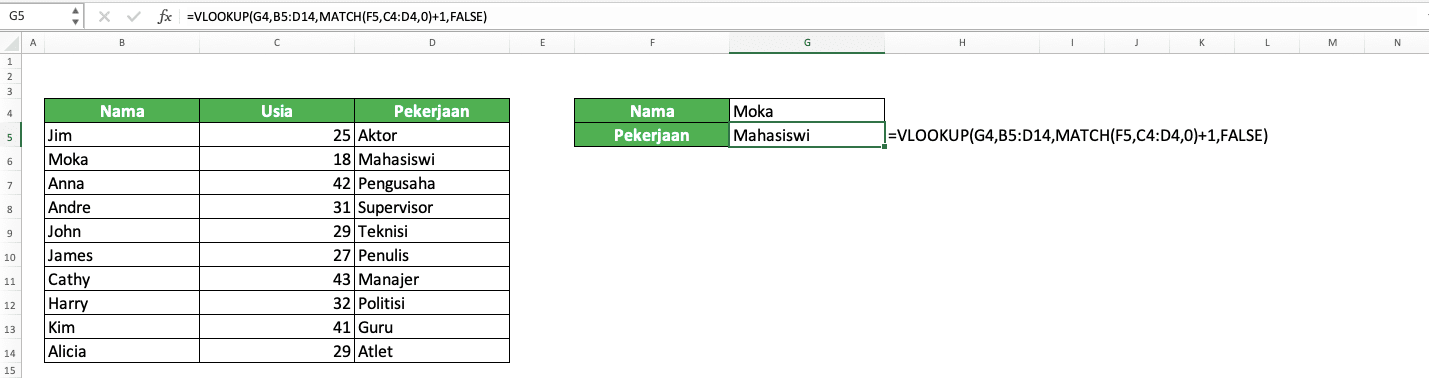 Nomor Indeks Kolom VLOOKUP: Apa Itu dan Bagaimana Cara Memasukkan Inputnya dengan Benar? - Screenshot Contoh Hasil Pemilihan Variabel Data Lainnya untuk Penggabungan VLOOKUP MATCH