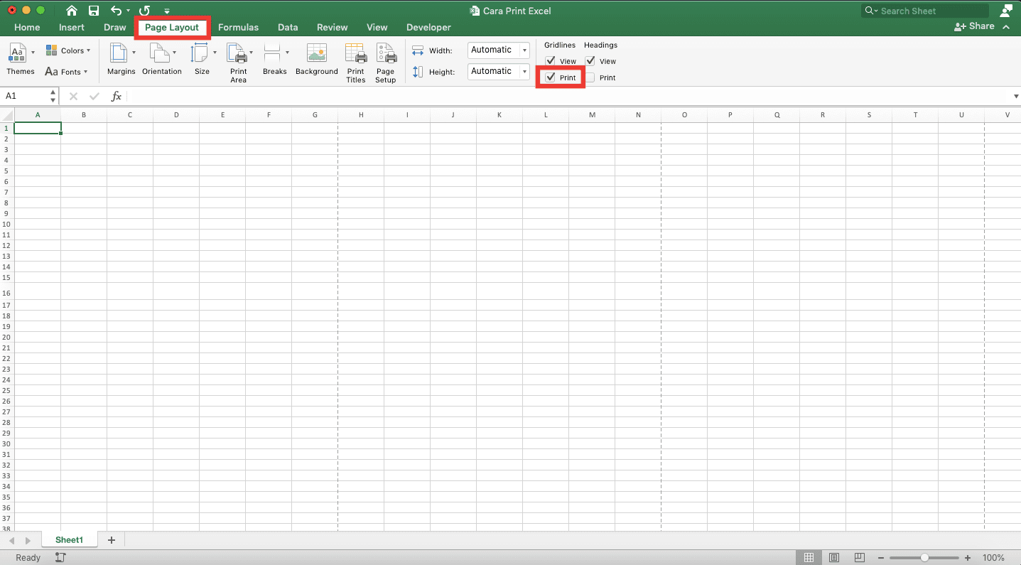 Cara Print Excel Agar Tidak Terpotong, Rapi, dan Full Kertas - Screenshot Lokasi Boks Centang Print Gridlines