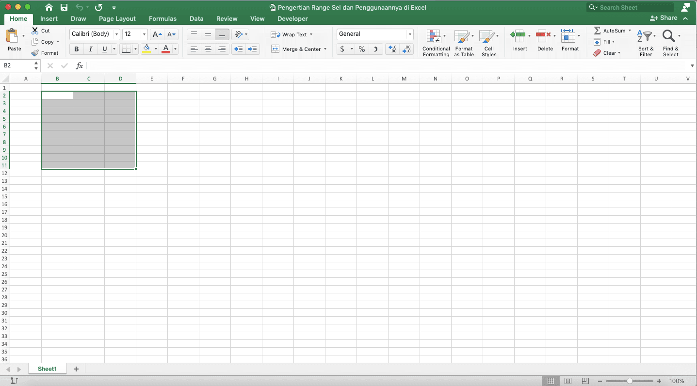 Pengertian Dari Range Adalah; Definisi, Fungsi, dan Penggunaannya di Excel - Screenshot Contoh Range (Cell Range) Beraturan