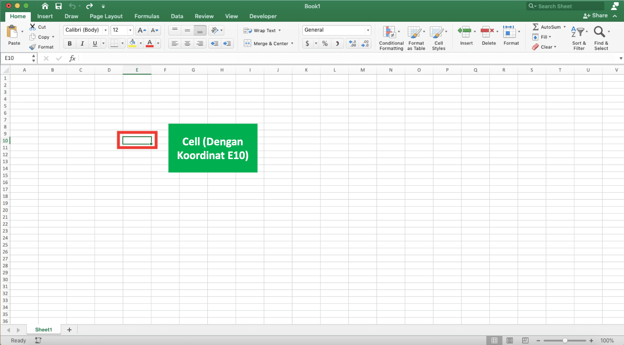 Perbedaan & Pengertian Cell (Sel) dan Range Excel - Screenshot Contoh Cell (Sel) di Excel