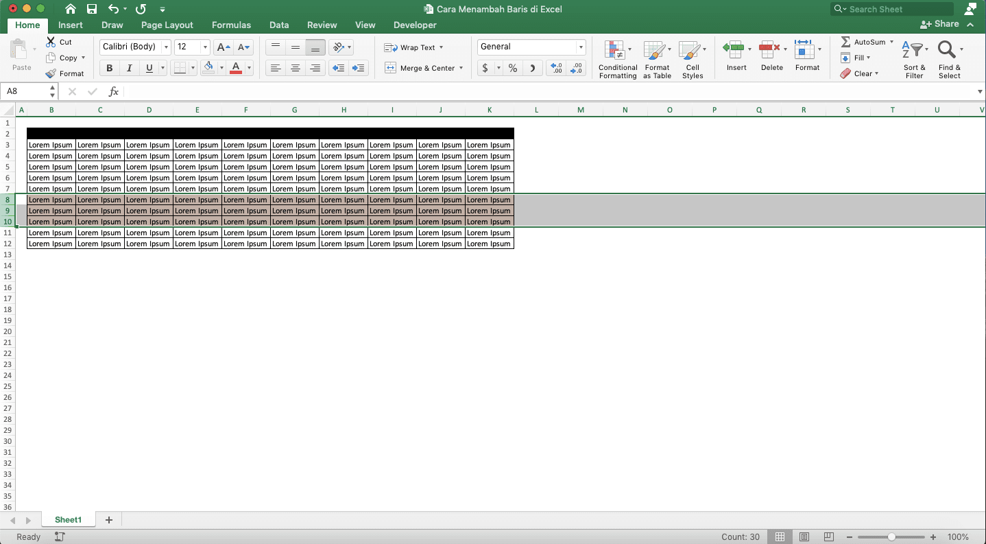 Cara Menambah Baris di Excel - Screenshot Contoh Penyorotan Baris yang Mau Disalin