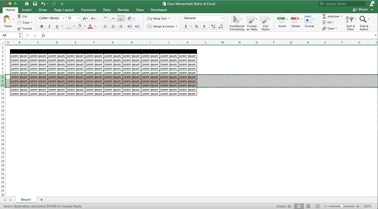 Cara Menambah Baris di Excel - Screenshot Contoh Hasil Menekan Ctrl + C pada Baris yang Disorot
