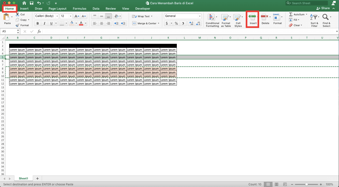 Cara Menambah Baris di Excel - Screenshot Lokasi Tab Home dan Tombol Insert