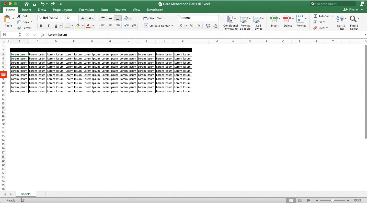 Cara Menambah Baris di Excel - Screenshot Cara Menambah Satu Baris, Langkah 1