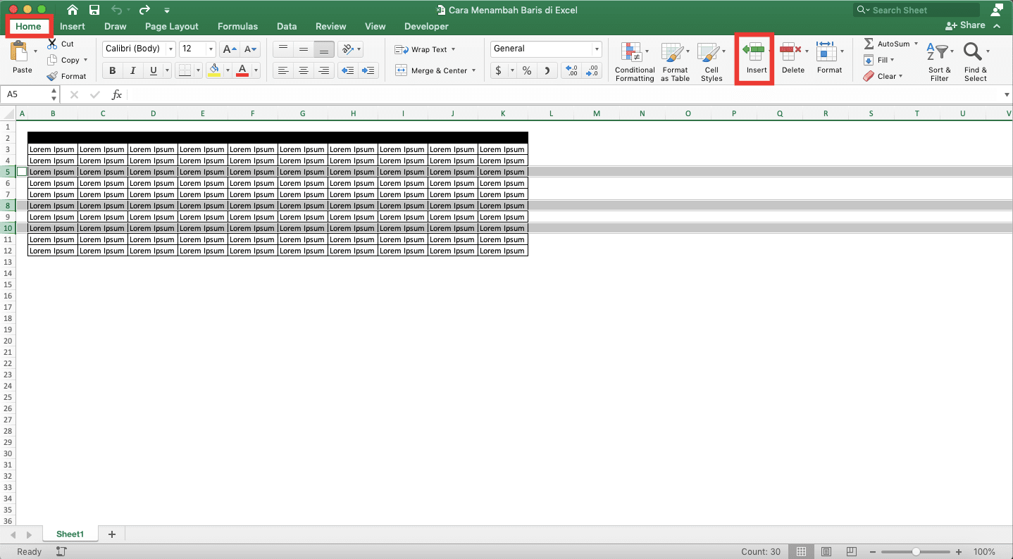 Cara Menambah Baris di Excel - Screenshot Cara Menambah Beberapa Baris Secara Tidak Berurutan, Langkah 4