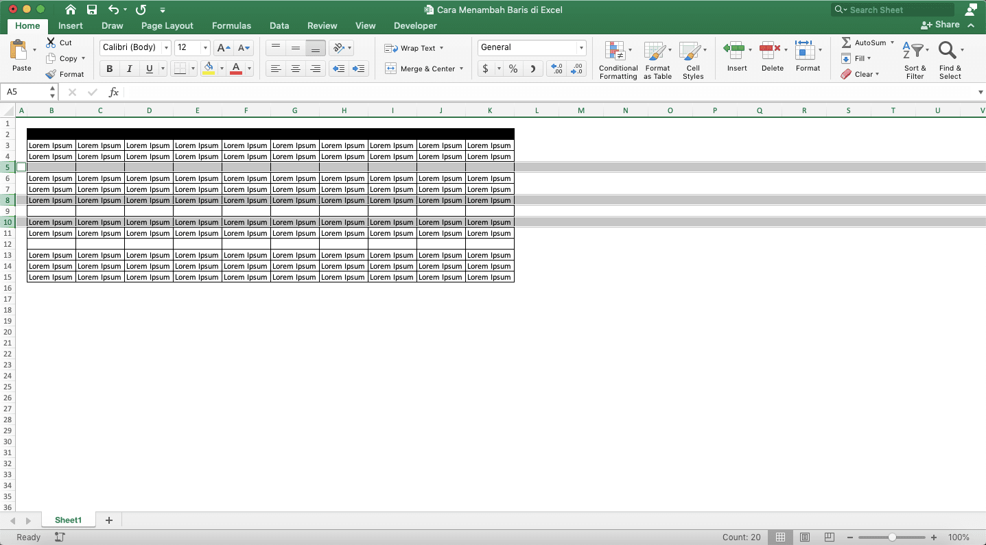 Cara Menambah Baris di Excel - Screenshot Cara Menambah Beberapa Baris Secara Tidak Berurutan, Langkah 5