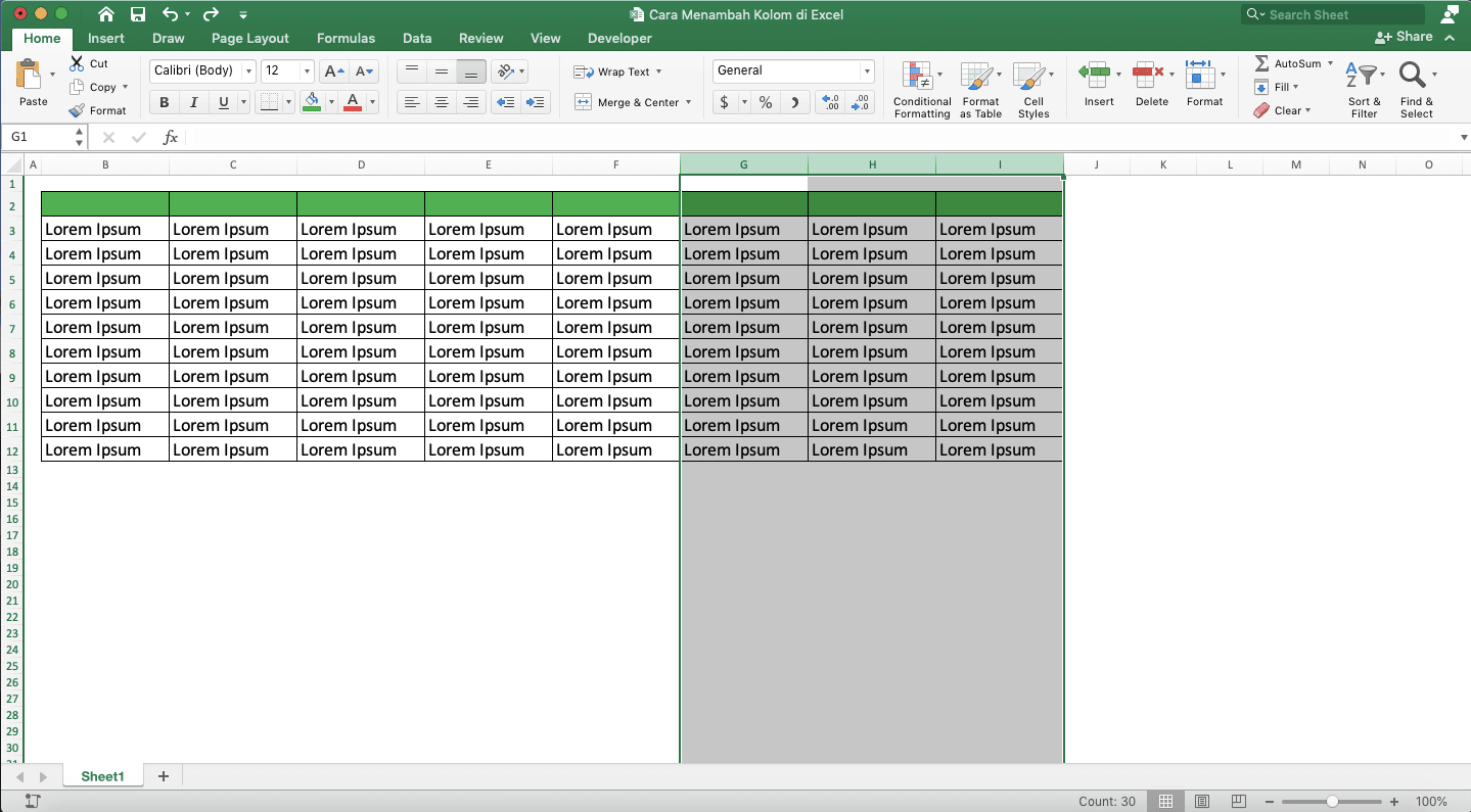 Cara Menambah Kolom di Excel - Screenshot Langkah Penambahan Banyak Kolom 2