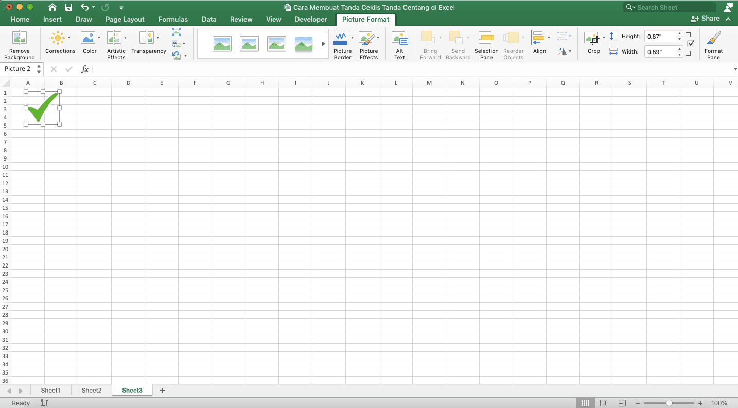 Cara Membuat Tanda Ceklis/Tanda Centang di Excel - Screenshot Contoh Hasil Cara Insert Image untuk Memasukkan Tanda Ceklis/Centang di Excel