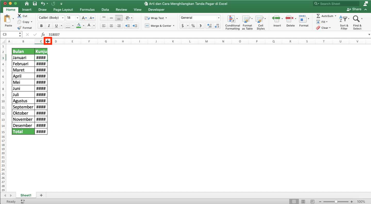 Arti dan Cara Menghilangkan Tanda Pagar di Excel - Screenshot Langkah Double Click 1