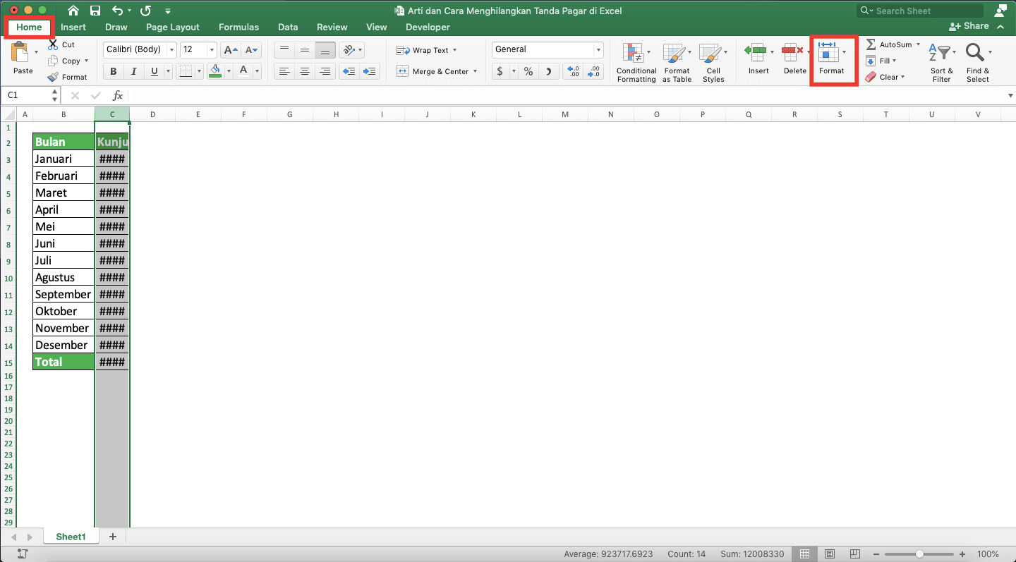 Arti dan Cara Menghilangkan Tanda Pagar di Excel - Screenshot Langkah Format 2
