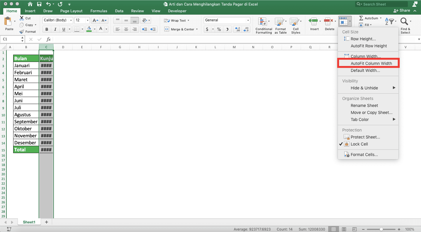 Arti dan Cara Menghilangkan Tanda Pagar di Excel - Screenshot Langkah Format 3