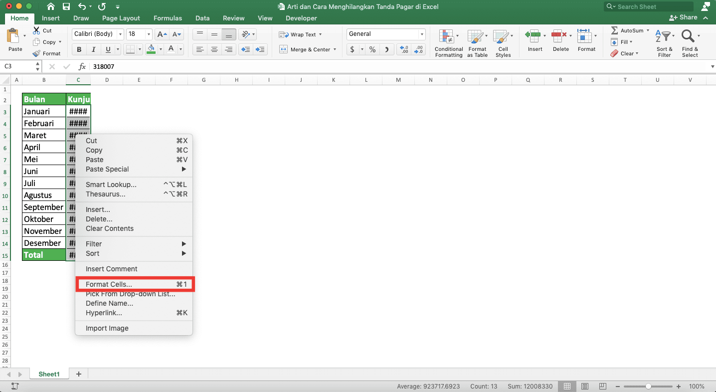 Arti dan Cara Menghilangkan Tanda Pagar di Excel - Screenshot Langkah Shrink to Fit 2