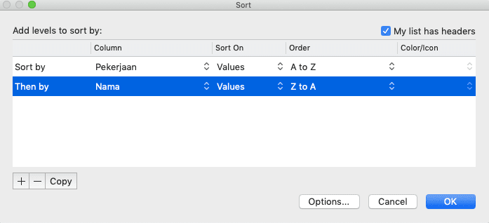 Cara Mengurutkan Data di Excel - Screenshot Contoh Input Detail Tambahan untuk Pengurutan Data Secara Bertingkat