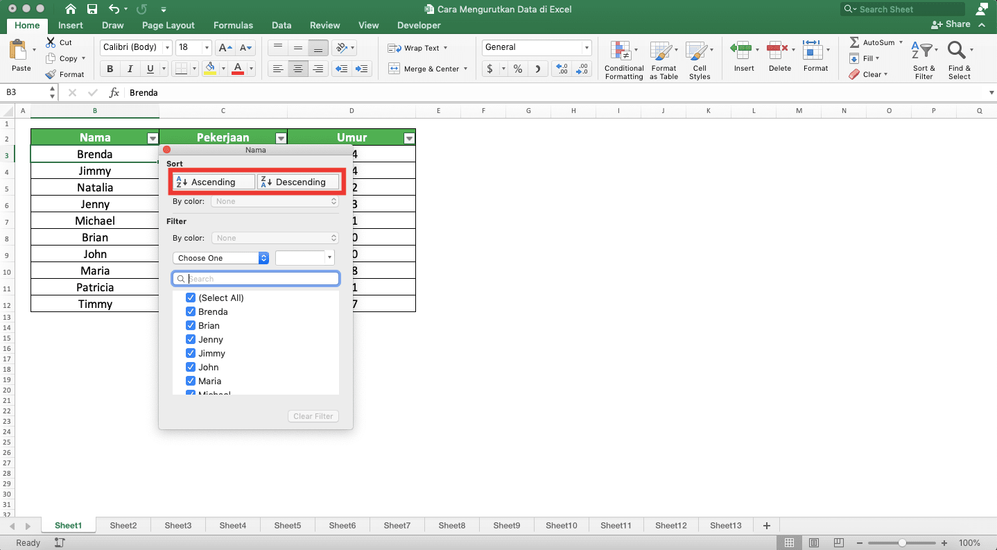 Cara Mengurutkan Data di Excel - Screenshot Pilihan Pengurutan Data di Menu Tombol Filter