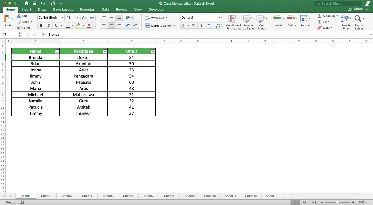 Cara Mengurutkan Data di Excel - Screenshot Contoh Hasil Pengurutan Data dengan Tombol Filter