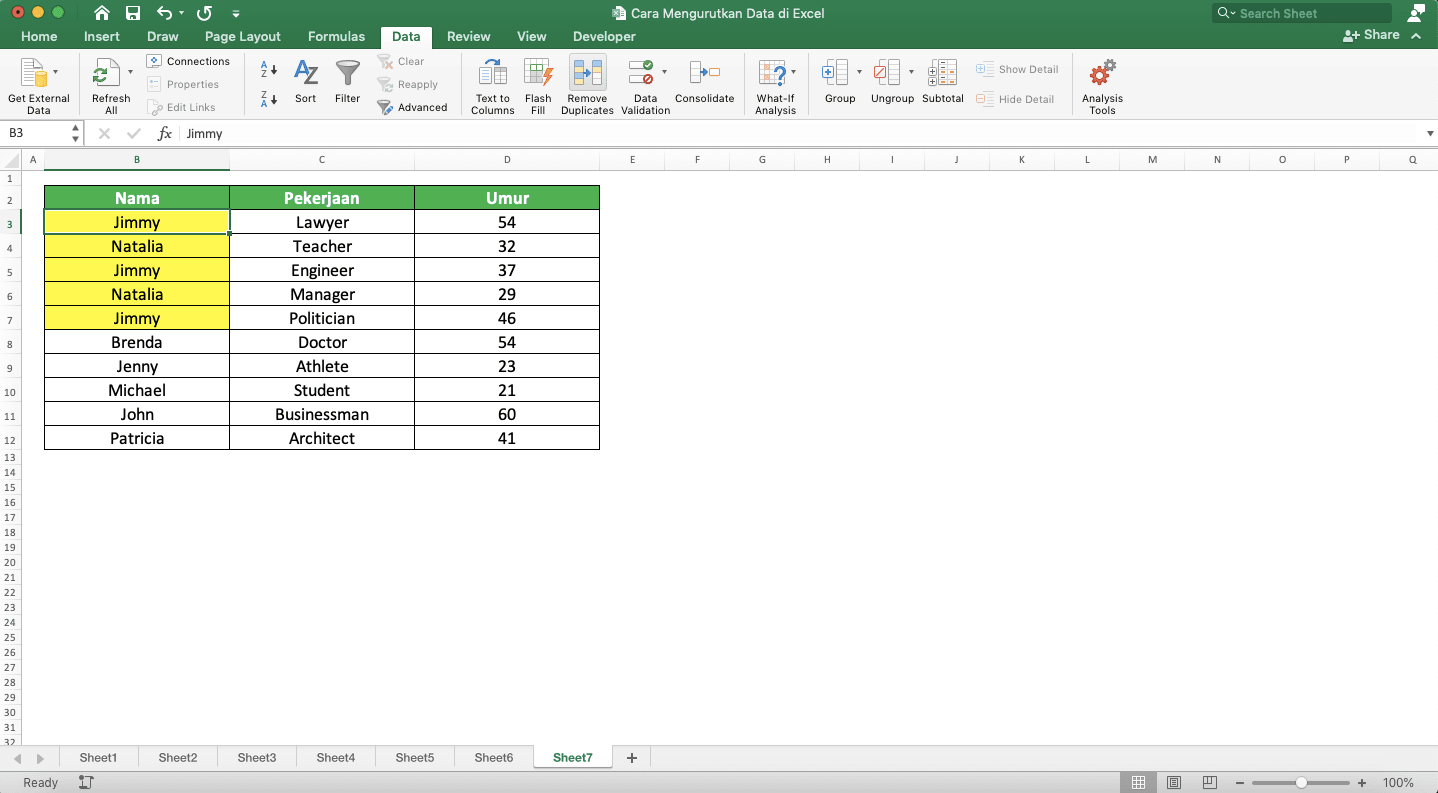 Cara Mengurutkan Data di Excel - Screenshot Contoh Hasil Pengurutan Data Duplikasi di Excel