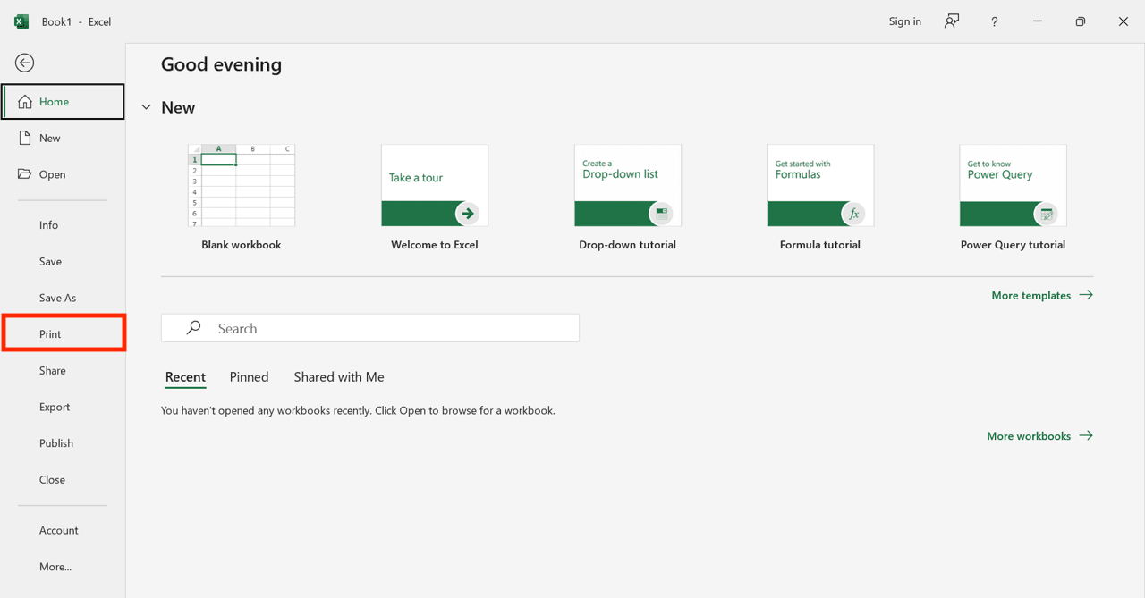 Pengertian Workbook Adalah; Definisi, Fungsi, dan Penggunaannya di Excel - Screenshot Langkah Cara Mencetak Workbook di Excel 2