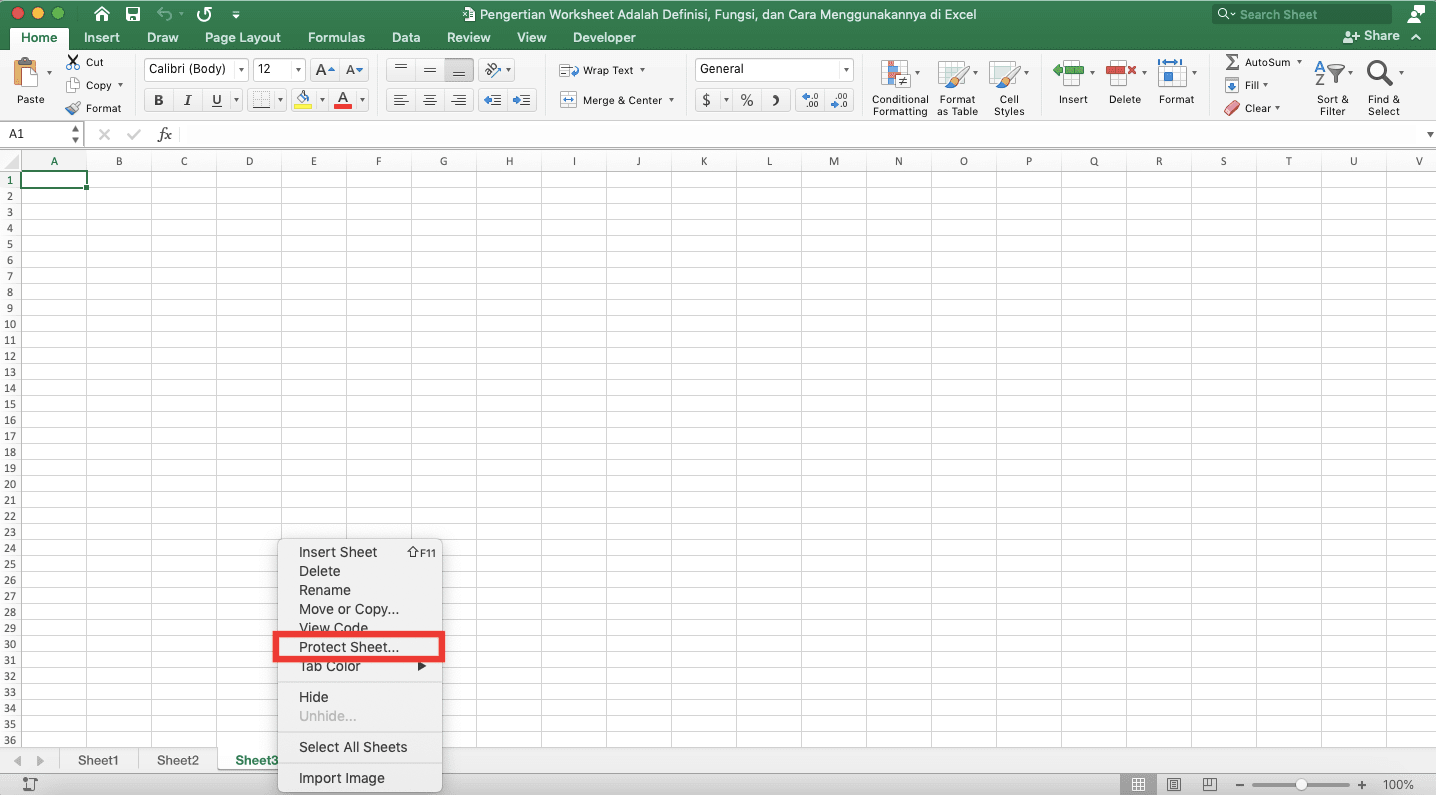 Pengertian Worksheet Adalah; Definisi, Fungsi, dan Cara Menggunakannya di Excel - Screenshot Lokasi Pilihan Move or Copy... Pada Menu Klik Kanan Sheet di Excel