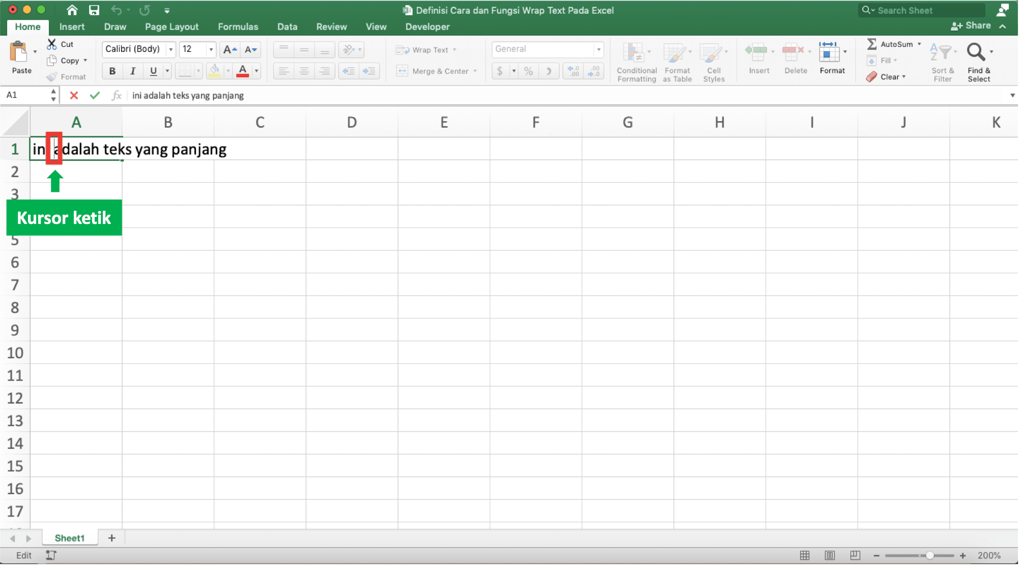 Definisi, Cara, dan Fungsi Wrap Text Pada Excel - Screenshot Contoh Lokasi Kursor Ketik Untuk Wrap Text Manual