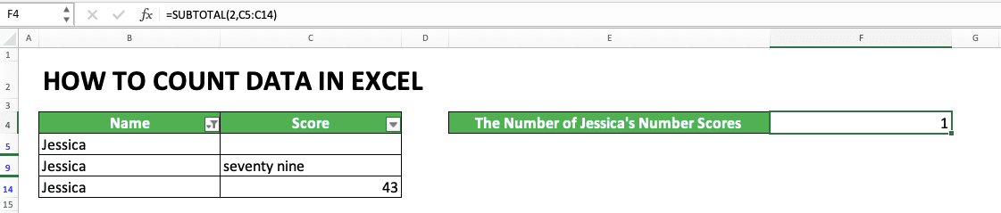 How to Count Data in Excel: Formulas and Functions - Screenshot of the SUBTOTAL Example