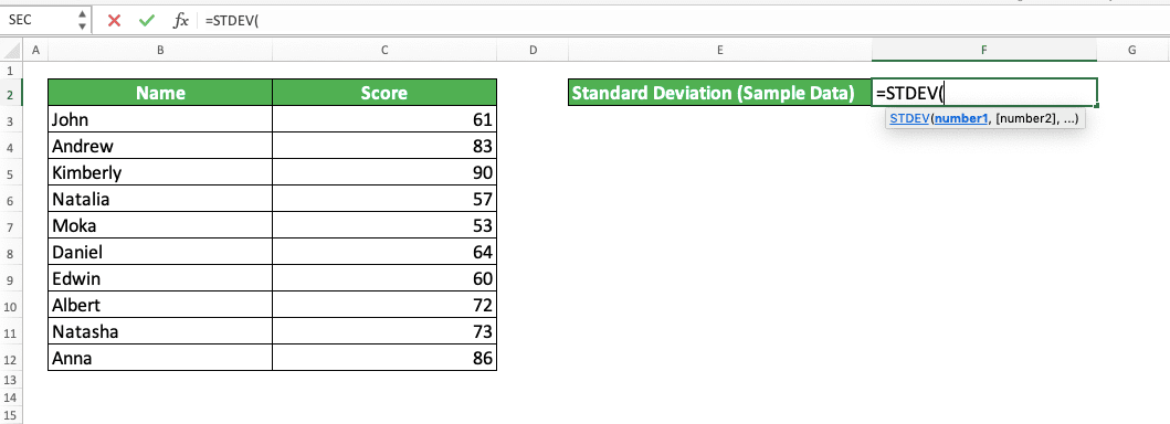 How to Use the STDEV Formula in Excel: Functions, Examples and Writing Steps - Screenshot of Step 2