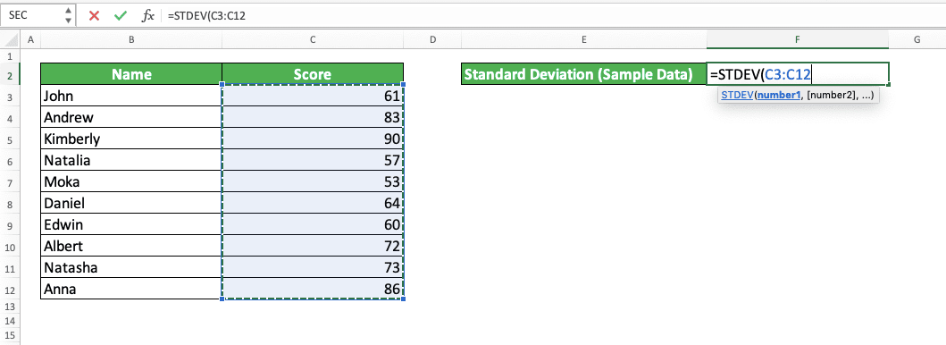 How to Use the STDEV Formula in Excel: Functions, Examples and Writing Steps - Screenshot of Step 3