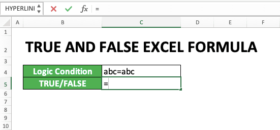 How to Use TRUE and FALSE Formulas in Excel: Function, Example, and Writing - Screenshot of Step 1-1